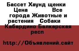 Бассет Хаунд щенки › Цена ­ 20 000 - Все города Животные и растения » Собаки   . Кабардино-Балкарская респ.
